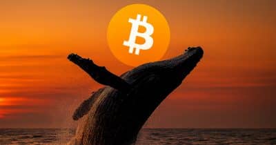 Bitcoin exchange whale inflows fall below $3 billion as long term holders buy $49 billion