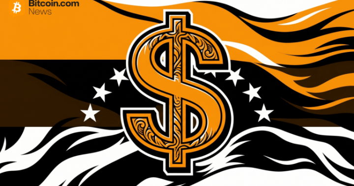 Economist Proposes National USD Stablecoin to Eliminate Currency Controls in Venezuela