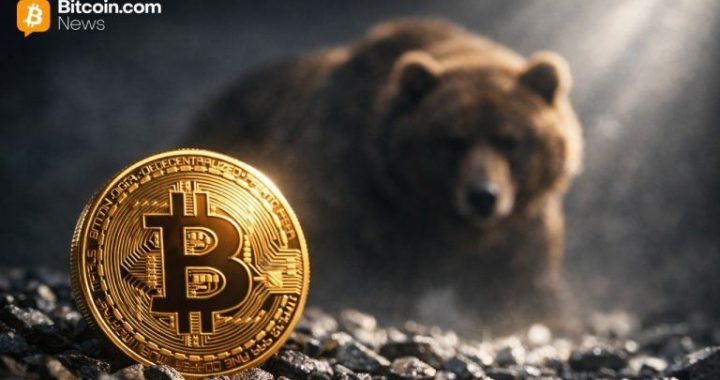 Strategist Sees Bitcoin Bear Signals, Warns Crypto Bust Could Push BTC to $10K