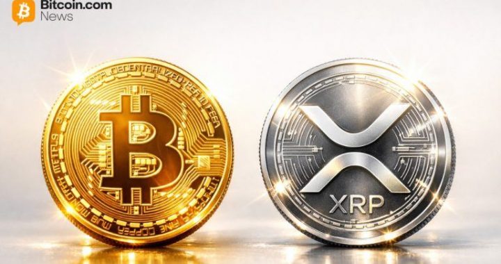 When Crypto Beats Stablecoins: Ripple’s Schwartz Says He’d Pick XRP or BTC Over USD for Locked Funds