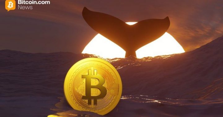 TIm Draper’s $250,000 BTC Call, New Whale Data, and More – Week In Review