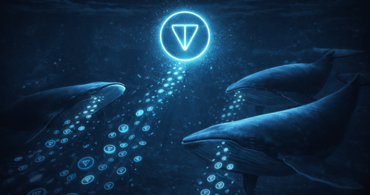 Top Toncoin Whales Silently Accumulate 189,730 TON Despite Market Weakness