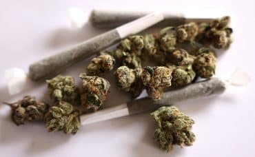 Trump moves to reclassify medical marijuana, impacting prediction markets