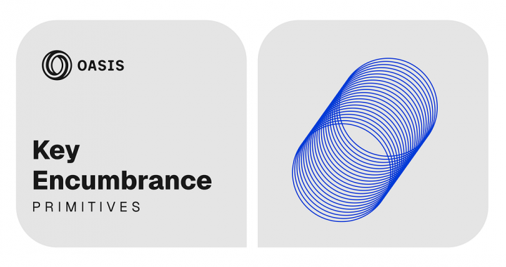Key Encumbrance: The Primitive That Makes Programmable Privacy Possible