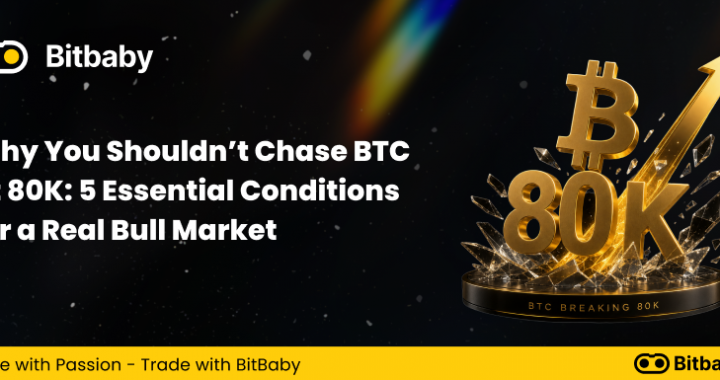 Why You Shouldn’t Chase BTC at 80K: 5 Essential Conditions for a Real Bull Market
