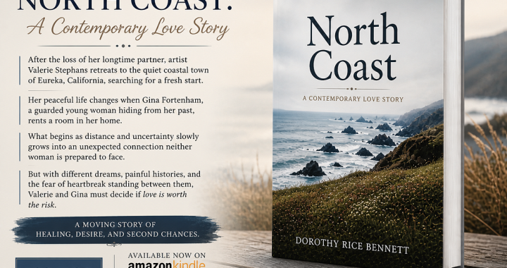 North Coast : A Love Story That Quietly Breaks You and Heals You at the Same Time