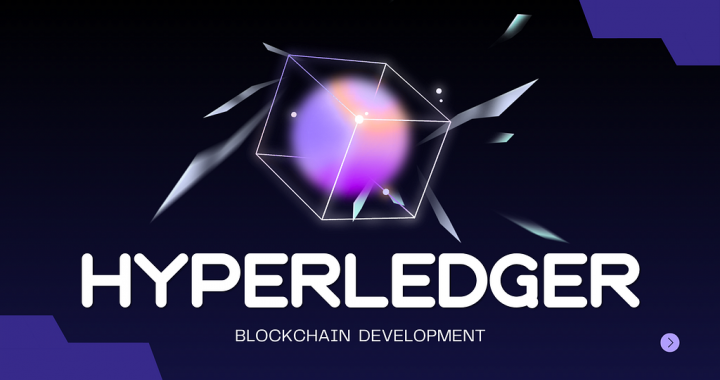 The Ultimate Guide to Hyperledger Blockchain Development for Enterprises in 2026