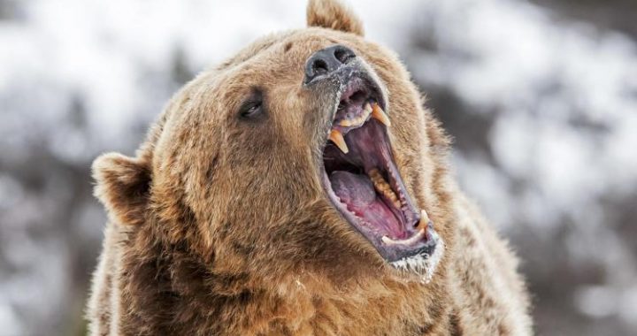 Bitcoin’s Fall To $78K Could Be A Bear Trap — Here’s Why