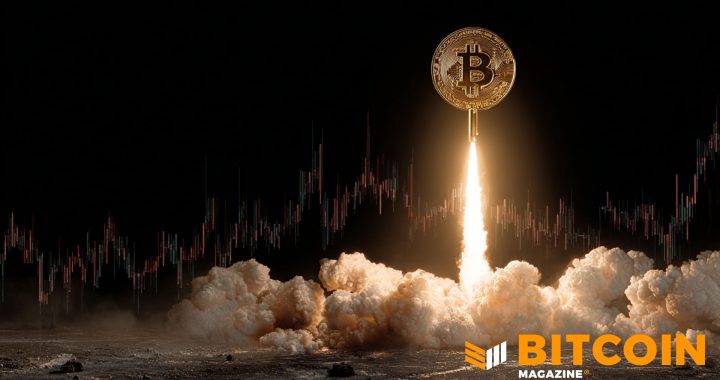 Bitcoin Price Rockets Past $81,000 for the First Time Since January