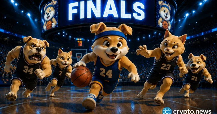 Investor breakdown: DOGEBALL could be the leading crypto presale to buy now