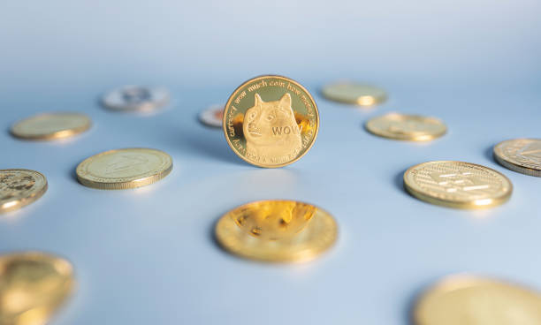 Dogecoin Adoption Is Back In The Cards, But Why Is DOGE Price Still Crashing?