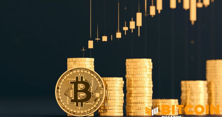 Strive (ASST) Stacks Another 382 BTC, Total Treasury Climbs to 15,391 Bitcoin