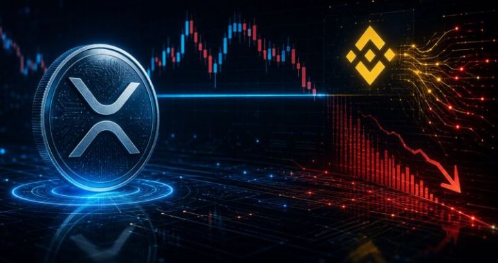 XRP Holds Key Level, But Binance Flow Data Signals Weakening Demand