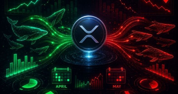 XRP’s Big Buyers Returned In April But left In May: Capital Inflows Data Explains The Shift