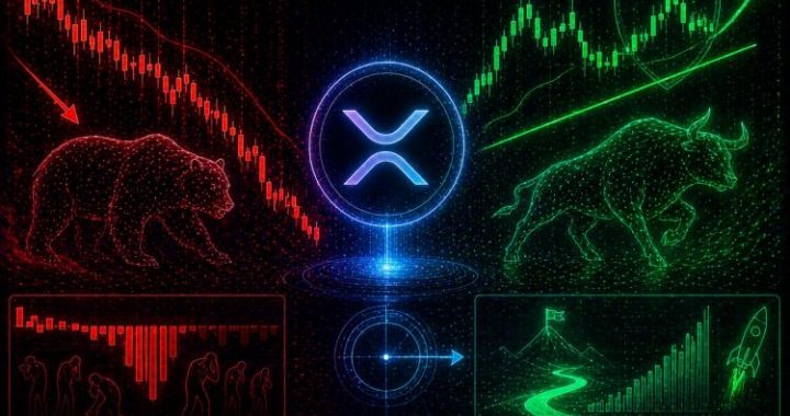 XRP’s Leverage Has Been Flushed Out, But Price Is Still Holding: Find Out What Follows That Setup