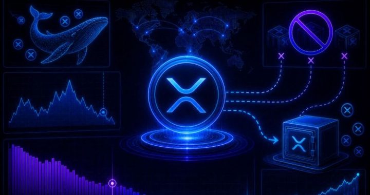 XRP’s Biggest Holders Just Stopped Sending Tokens to Exchanges: Last Time Was November 2021
