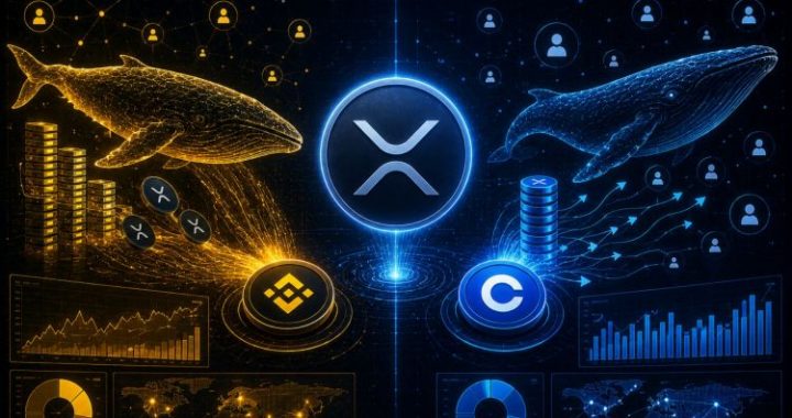 XRP Whale Dominance Returns To Binance While Coinbase Data Tells A Different Story