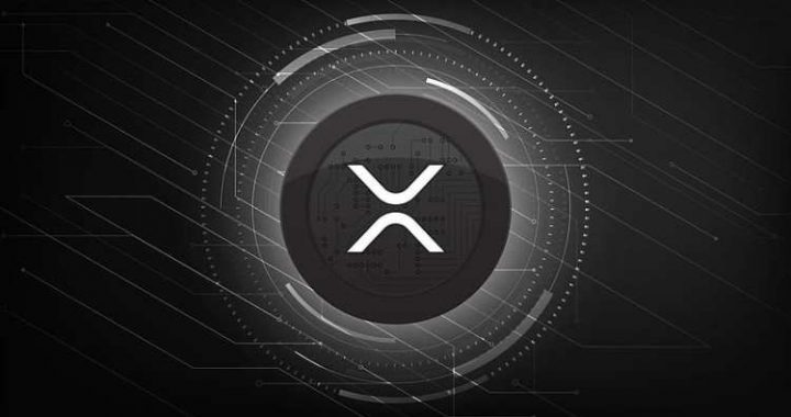 XRP Is Quietly Taking Over And These Are The Things That Investors Keep Missing
