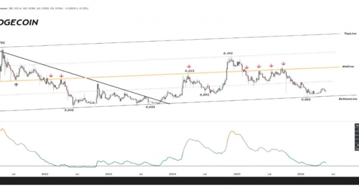 Analyst Says This Dogecoin Chart Is Too Dangerous To Ignore – Here’s Why