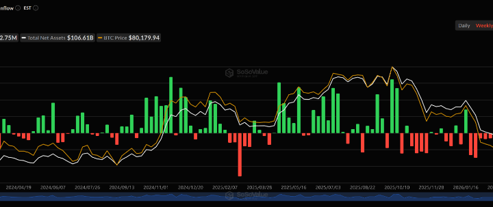 Spot Bitcoin ETFs See Strongest Buying Streak In 9 Months