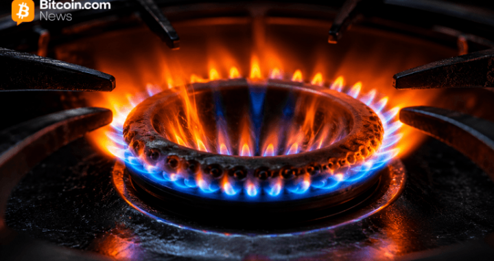 Bitcoin Price Prospect: BTC Holds $80K While Momentum Starts Heating Up