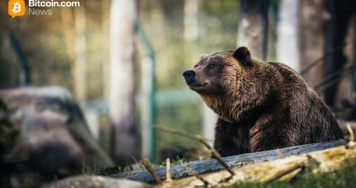 Cryptoquant’s Ki Young Ju Warns Bitcoin’s Bear Market Could Run Into Early 2027