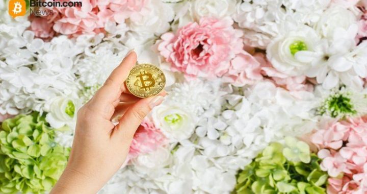 From $8 to $81,700: What Bitcoin Was Worth on Every Mother’s Day Since 2011