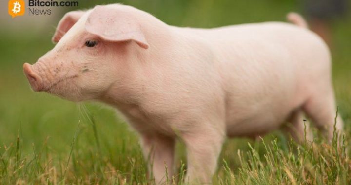 China Confirms Participation in ‘First of Its Kind’ Anti-Pig Butchering Operation