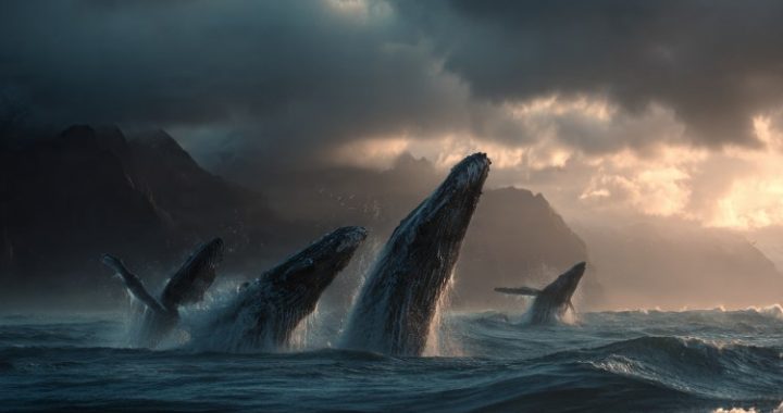 XRP Market Now Controlled By Whales? Dominance Reaches 91% On Binance