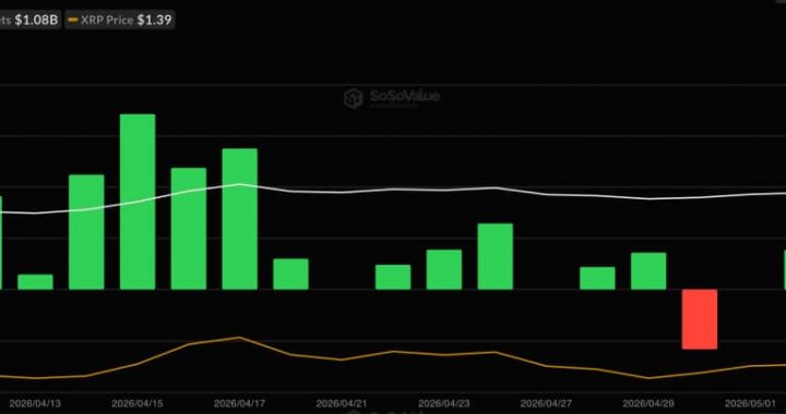 Bitcoin ETF News: BTC Slips Below $80K Despite Record $1B ETF Inflows—Time to Buy the Dip?