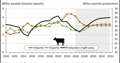 Trump administration plans to reduce tariffs on beef imports to lower prices