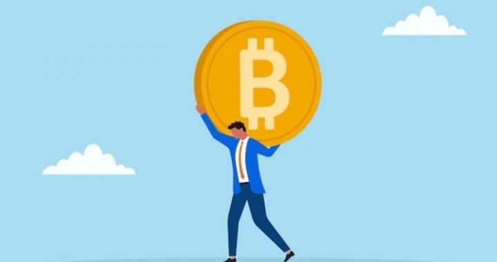 Bitcoin Registers Record 15.8M Long-Term Holders Amid Price Decline – Here’s Why