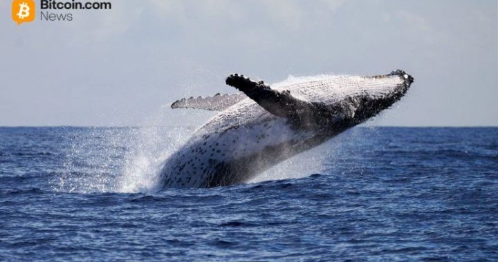 Whale Dumps $100M ETH Short, Pivots to $13.4M Bitcoin Bet at 20x Leverage
