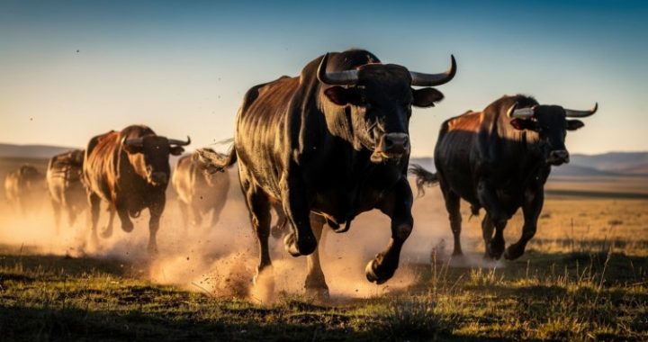 Bitcoin Bulls Awaken As Rare Golden Cross Signal Flashes On Charts