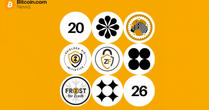 Zcash Foundation Patches 2 Critical Zebra Flaws, Reports $817K in Q1 Spending