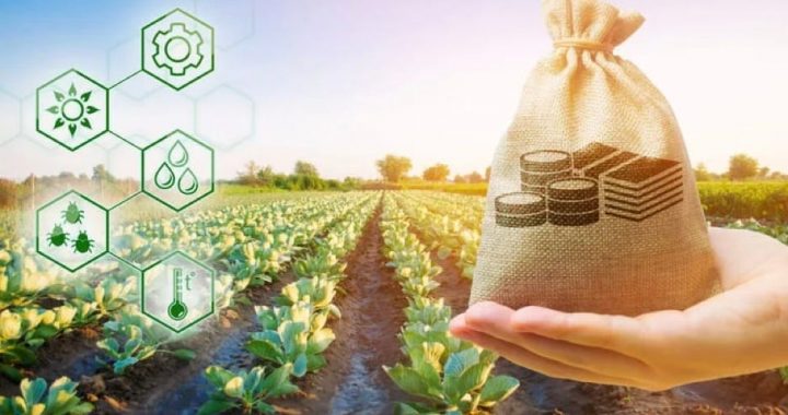Yield Farming: The Cornerstone of Decentralized Finance