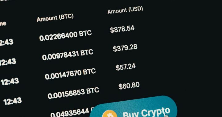 I Followed a Whale Wallet for Weeks and Could Not Believe What I Saw