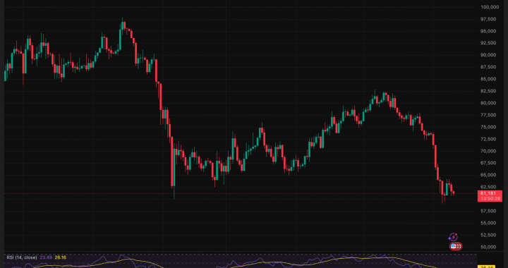 CZ Says Bitcoin Price Has Already Bottomed, But Here’s What the Data Actually Shows