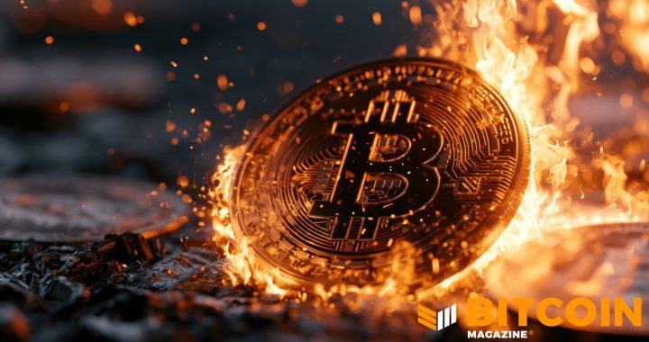 Bitcoin Price Plunges Below ‘Fire Sale’ Territory as Fear Index Reads 12 — Echoing the FTX Crash