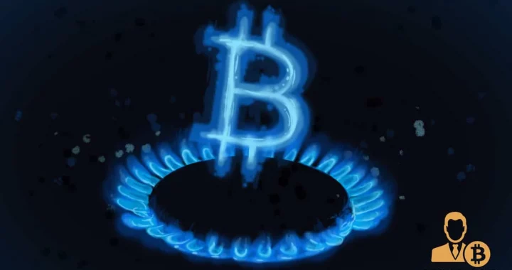 Zcash crisis deepens as David Schwartz explains “lonely” coins