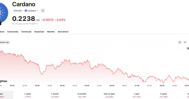 Cardano CEO Charles Hoskinson Alleges Henry Nowak Cover Up By UK Police