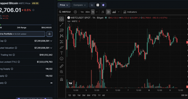 Circle Just Launched cirBTC: ‘Wrapped Bitcoin’ on Ethereum Bullish for BTC?