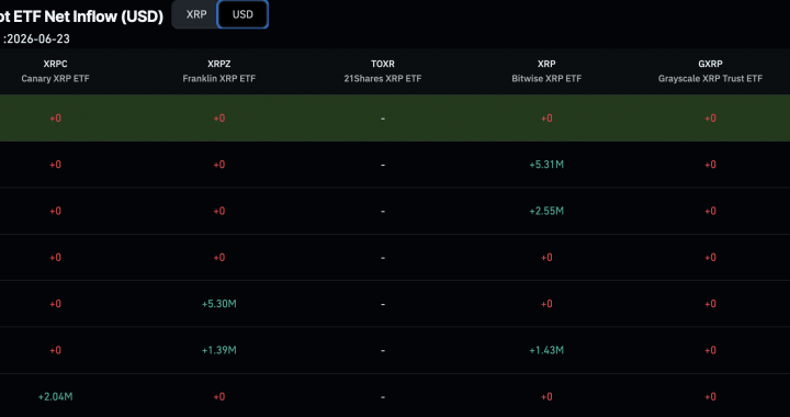 Binance XRP Outflows Signal Accumulation While MoneyGram’s Stellar Move Is Old News
