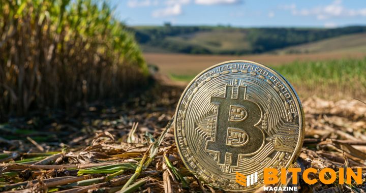 Tether-Backed Adecoagro to Launch Sugarcane-Powered Bitcoin Mining in Brazil