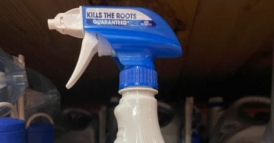 Bayer AG shares soar 20% after Supreme Court rules federal law blocks Roundup cancer lawsuits