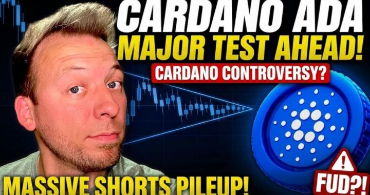 Cardano Van Rossem Hard Fork Hits Decision Day