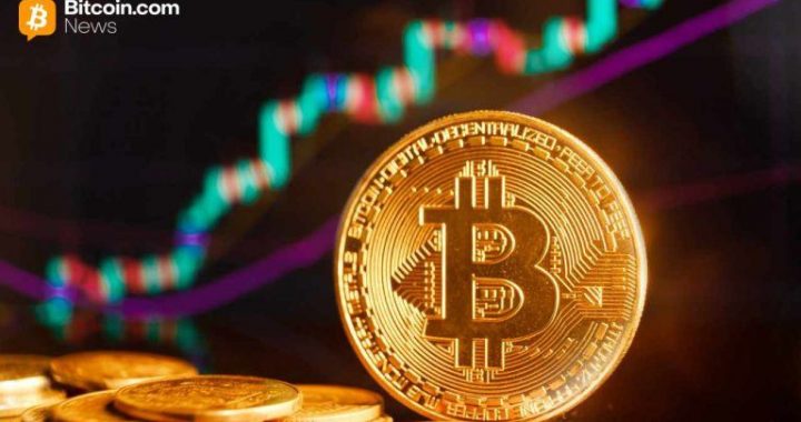 Bitcoin Whales Reverse 12-Day Slide as ‘Massive Supply Shock’ Emerges