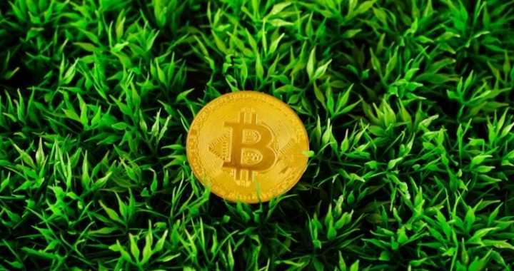 Bitcoin Bottom Is in: Standard Chartered Declares End of Crypto Winter