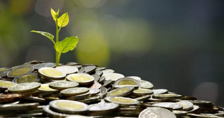 Humanity Protocol Plans New H Token After $36 Million Key Compromise
