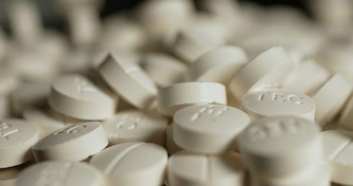 The ‘Zksync.jp’ Scam: How a Fentanyl Smuggling Ring Defrauded Crypto Investors in Japan
